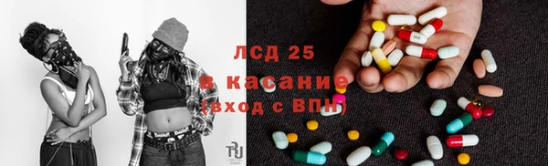 прущие грибы Дмитров