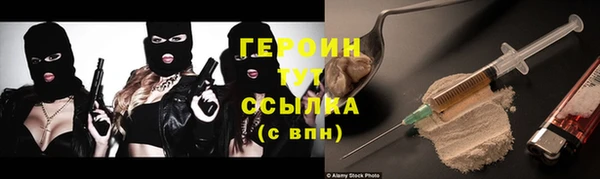 прущие грибы Дмитров