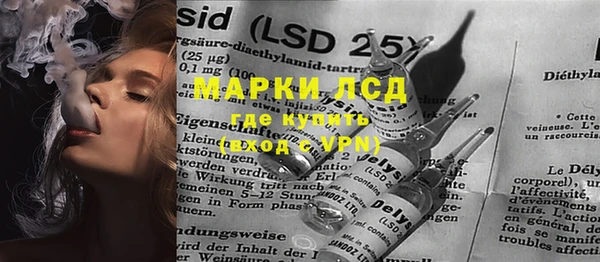 прущие грибы Дмитров